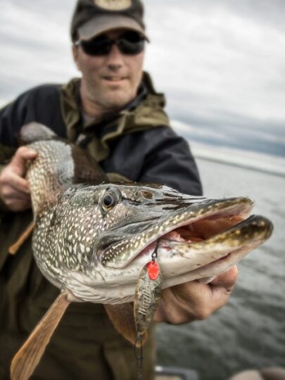Pike Fishing Guide: How To Find, Catch and Land Pike– Hunting and
